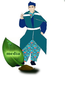 media